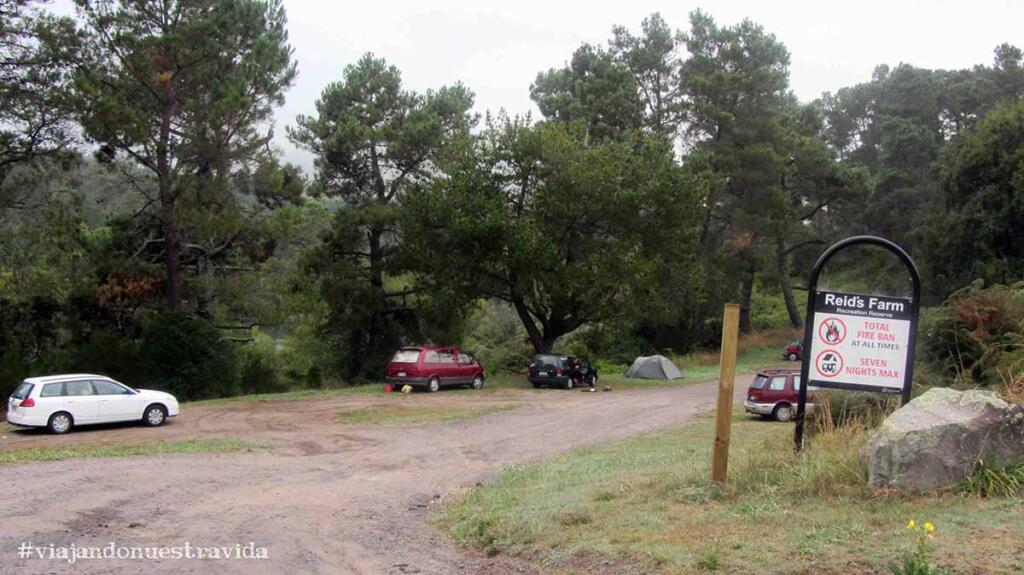 camping rotorua14