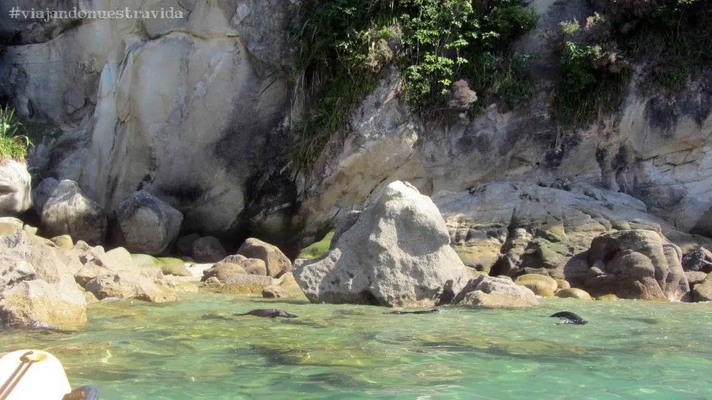 Abel Tasman