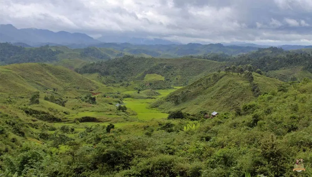 viajar a Madagascar Tren de la selva madagascar paisaje