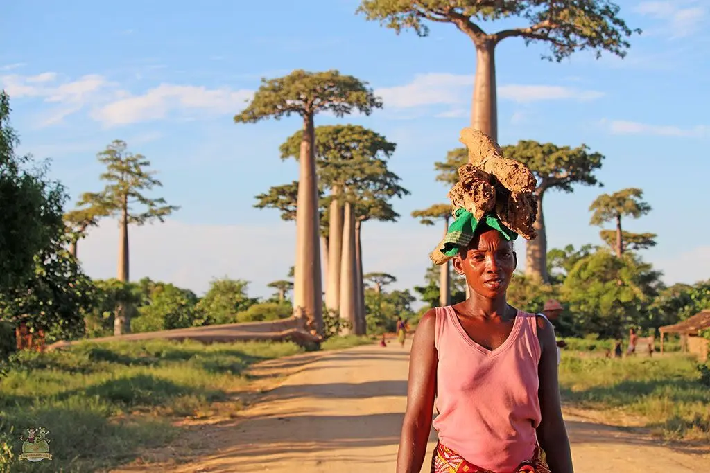 mujer en avenida baobabs