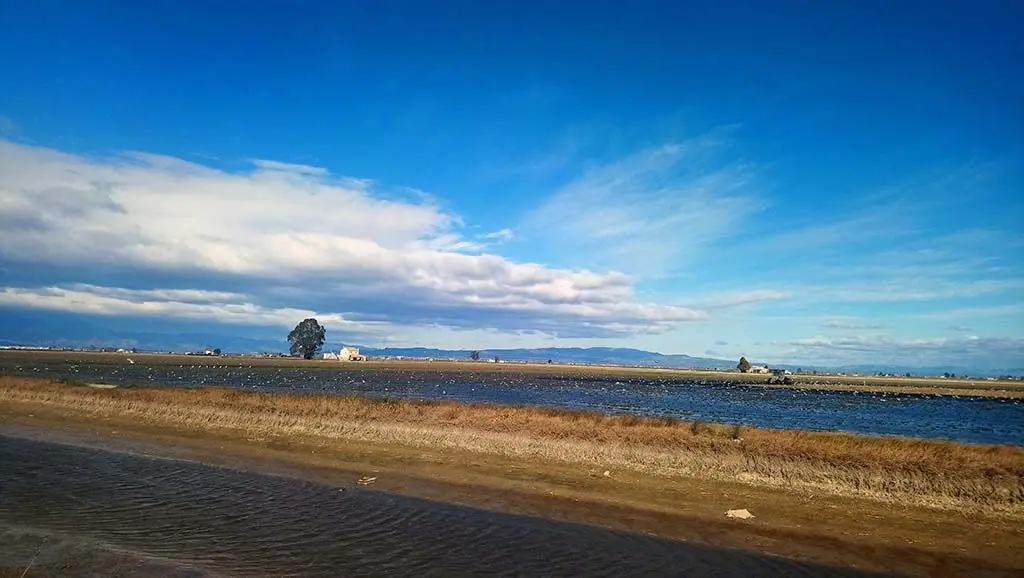 Delta del Ebro en furgoneta