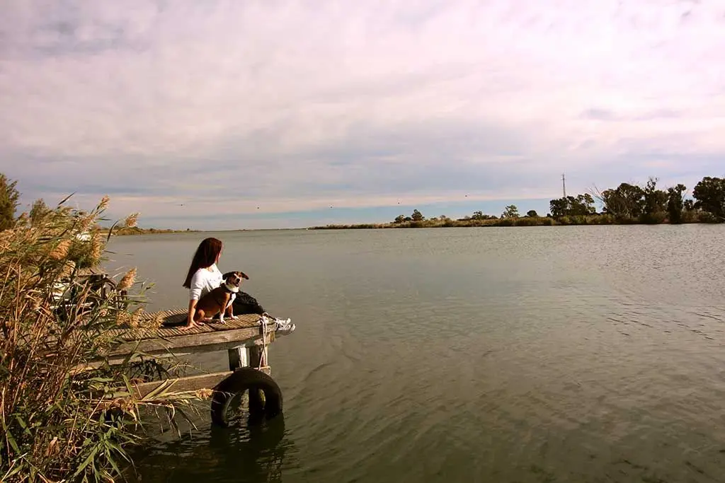 Delta del Ebro en furgoneta