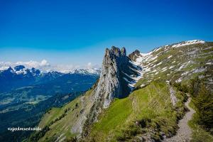 EXCURSION-A-SAXER-LUCKE