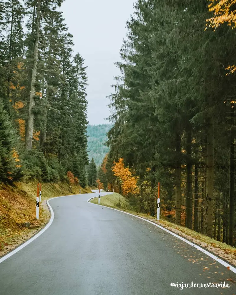 ruta-por-la-selva-negra-en-5-dias-alemania