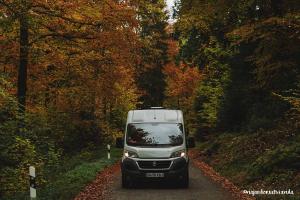 ruta-por-la-selva-negra-en-camper