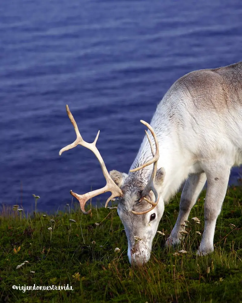 que ver en Noruega, Cabo Norte