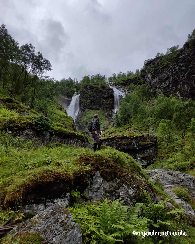 tren de Flåm tren de Flåm