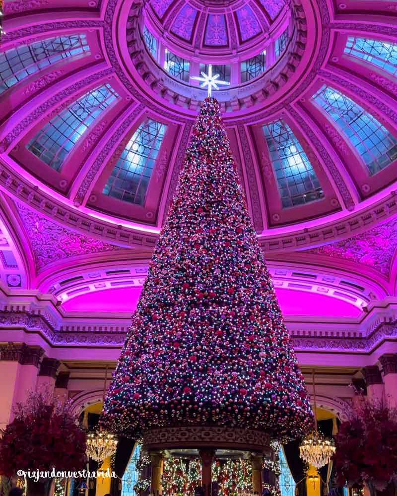 árbol gigante en el restaurante The Dome en Edimburgo en Navidad The-dome-que-ver-en-edimburgo-en-navidad Gran árbol de Navidad decorado con luces brillantes en el interior del restaurante The Dome en Edimburgo.