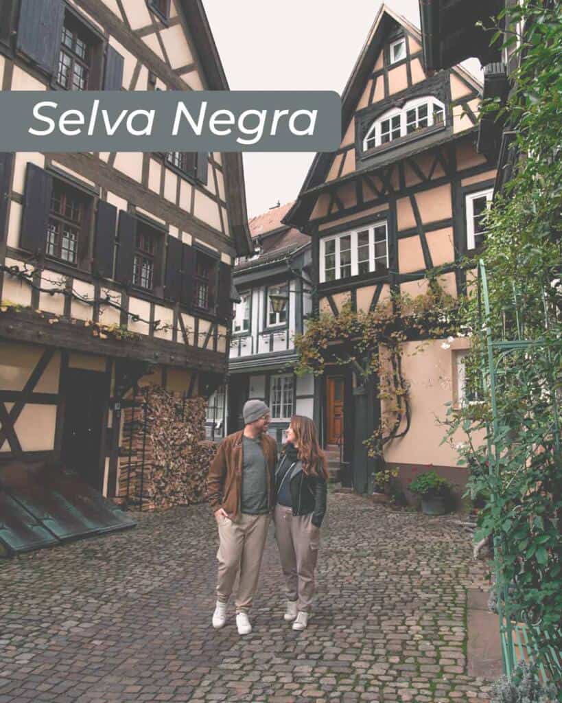 viajar_a-la-selva-negra_