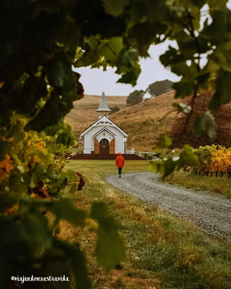 ruta-por-nueva-zelanda-Marlborough