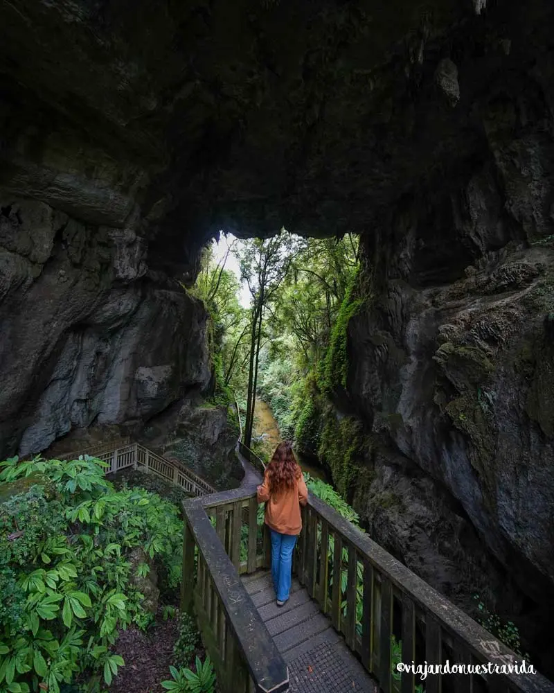 que ver en una ruta por Nueva Zelanda