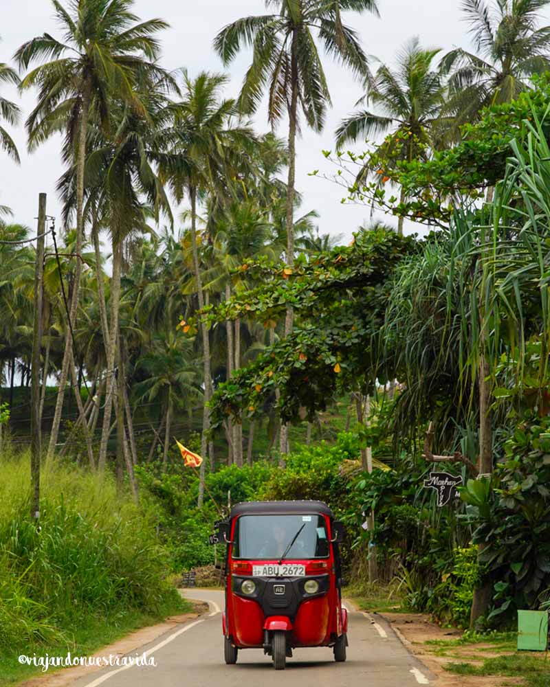 sri lanka en tuk tuk sri lanka en tuk tuk