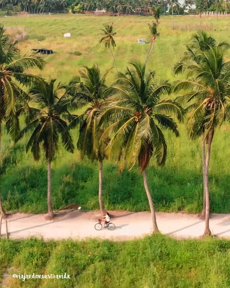 Thoddoo la isla local de Maldivas