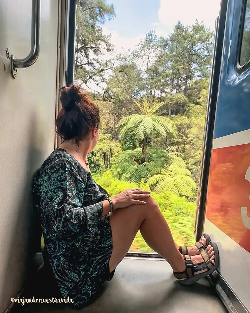vagón sin gente en el trayecto de Ella a Kandy en Sri Lanka