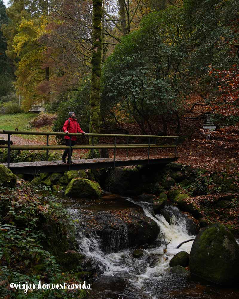 que ver en Triberg