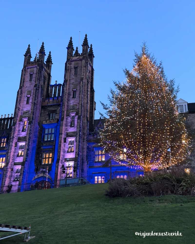 Árbol de The Mound - Edimburgo en Navidad El gran árbol de Navidad de The Mound encendido por la noche en Edimburgo en Navidad.