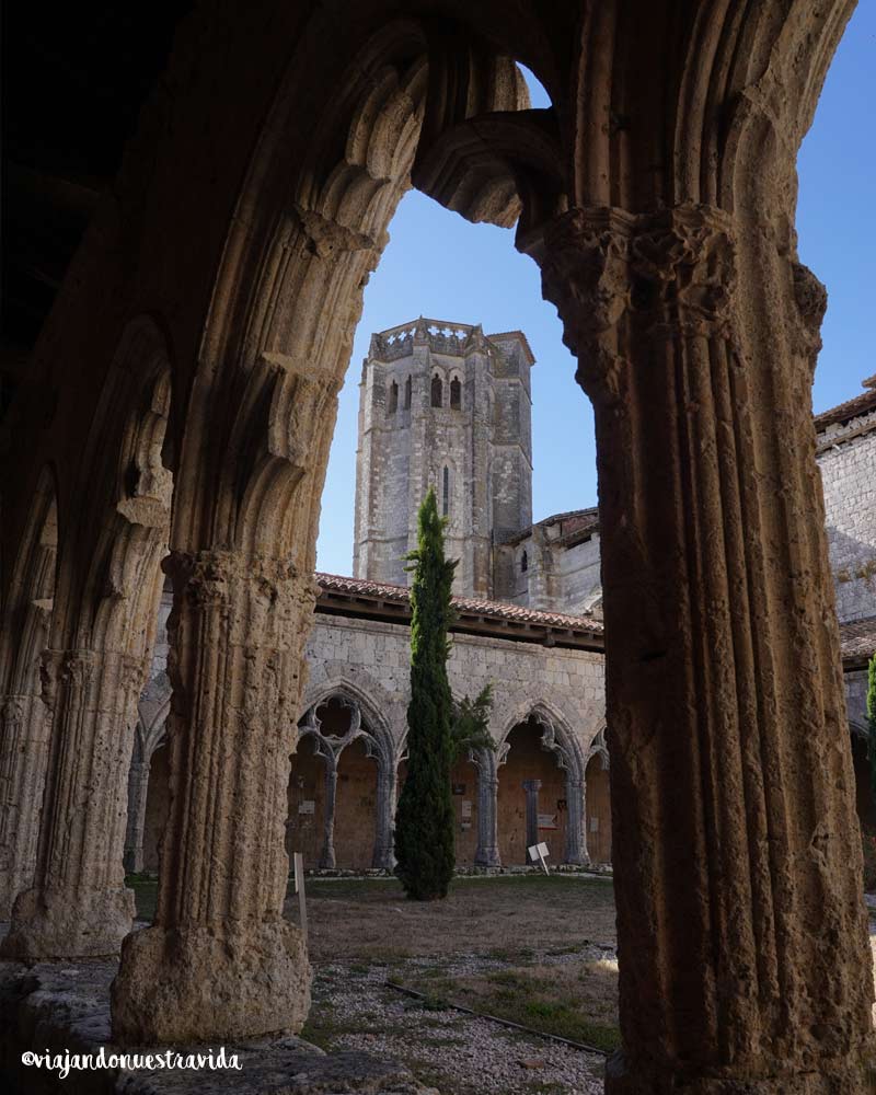 Patio de La Colegiata de San Pedro en La Romieu